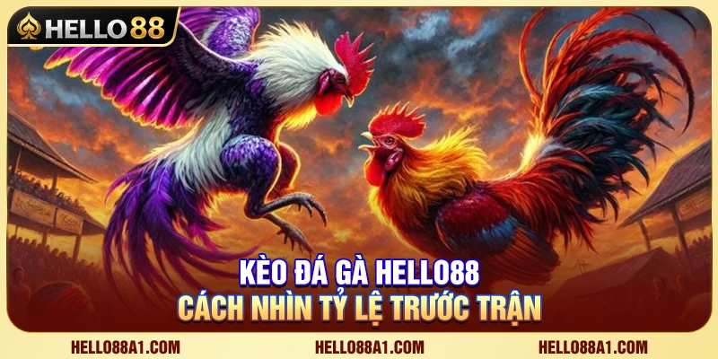 Kèo Đá Gà Hello88 – Cách Nhìn Tỷ Lệ Trước Trận