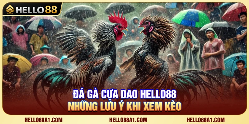 Đá Gà Cựa Dao Hello88 – Những Lưu Ý Khi Xem Kèo 1 Đá Gà Cựa Dao Hello88 – Những Lưu Ý Khi Xem Kèo