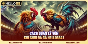 Bí Quyết Quản Lý Vốn Đá Gà Hello88 Để Luôn Bảo Toàn Nguồn Vốn