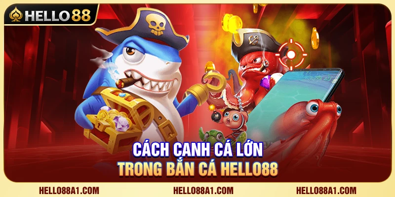 Cách Canh Cá Lớn Hello88 Chuẩn Cho Ngư Thủ