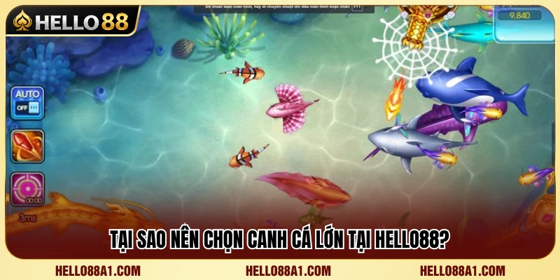 Vì sao nhiều người chơi ưu tiên nhắm mục tiêu cá lớn? 