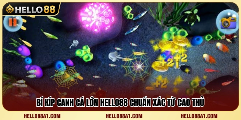 Kinh nghiệm săn cá lớn Hello88 hiệu quả từ người chơi lâu năm 