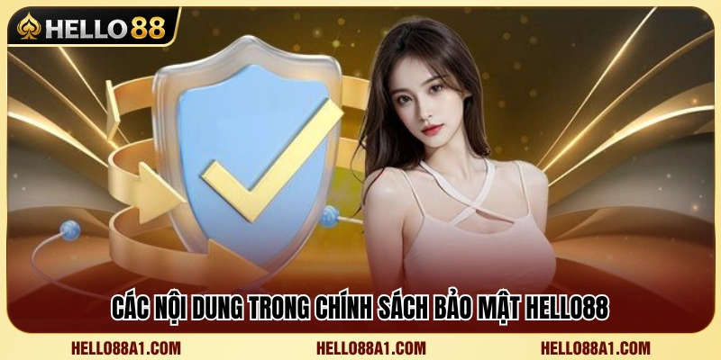 Chính Sách Bảo Mật Hello88 2 Vài điều khoản quan trọng được quy định trong chính sách