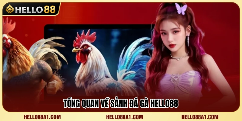 Khám phá các đặc điểm của sảnh cược đá gà Hello88 