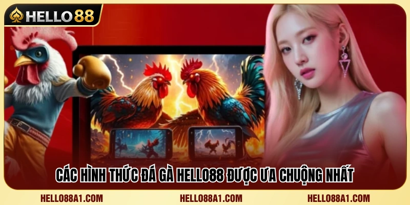 Top hình thức cược đá gà được yêu thích 