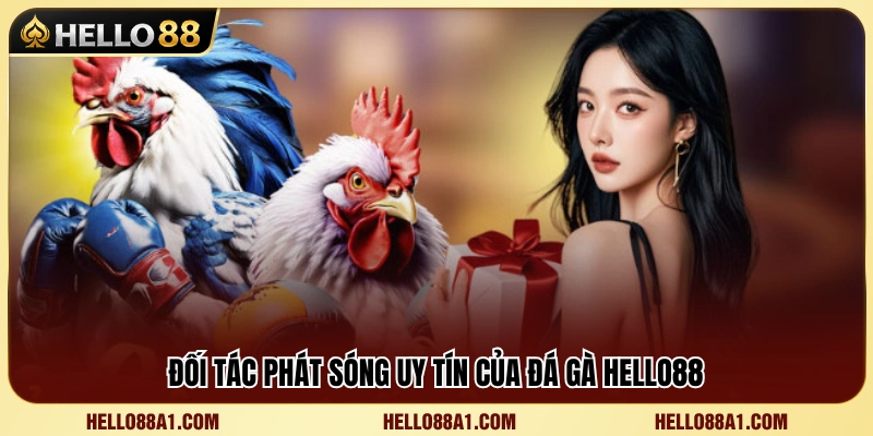 Đơn vị cung cấp trận đấu đá gà chất lượng cao 