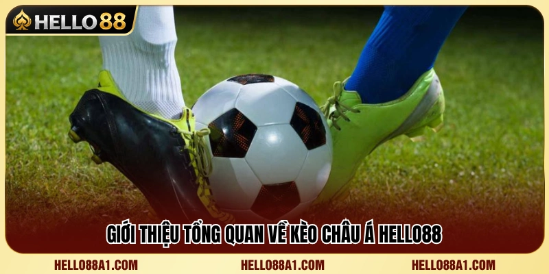 Tìm hiểu cơ chế hoạt động của kèo Châu Á Hello88 