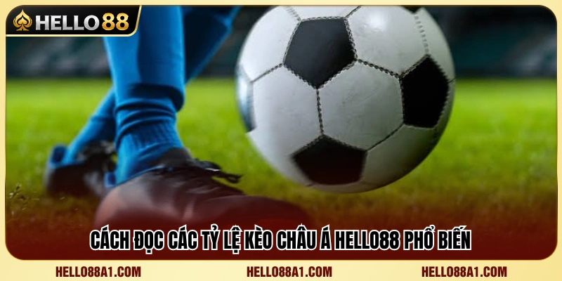 Cách hiểu tỷ lệ kèo Châu Á dành cho người mới 