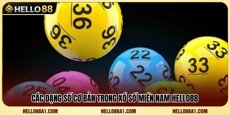 Những loại hình dự thưởng phổ biến tại xổ số miền Nam 